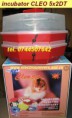 /album/galerie-foto-incubatoare-semiautomate-cleo/cleo5x2dt-jpg/